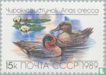 Canards