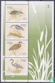 Oiseaux d'eau 