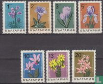 Blumen