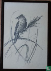 Zeichnung Vogel