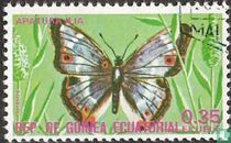 Papillons acheter