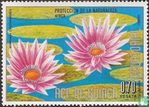 Blumen aus Afrika kaufen