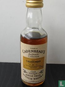 Caledonian  31 y.o.