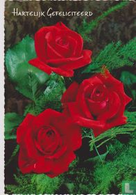 Hartelijk Gefeliciteerd - Drie rode rozen