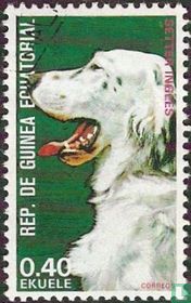 Chiens acheter