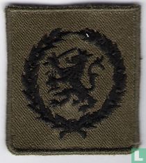 Individueel bekwaamheidsembleem - Nederland  