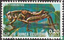 Insectes