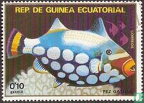 Fisch 