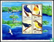 Oiseaux des Palaos