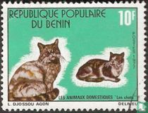 Animals