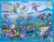 Cook der Rettungsdelphin