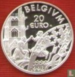 België 20 euro 1996 (PROOF) "Albert II"