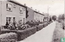 Groenewal