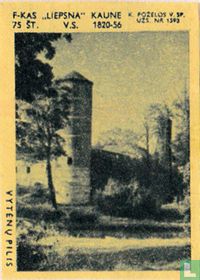 Stadsgezicht Vytenu Pilis