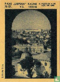 Stadsgezicht Vilnius