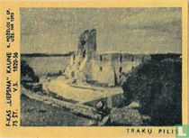 Stadsgezicht Traku Pilis