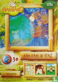 Ham-Hams in space