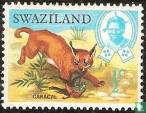 Animals