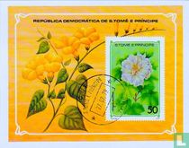 Fleurs acheter