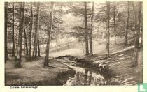 Ermelo - Sollenschegat