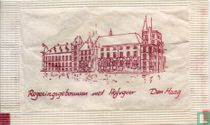 Regeringsgebouwen met Hofvijver