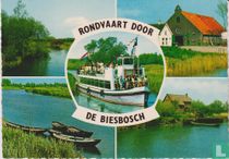 Rondvaart door de Biesbosch