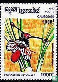 Insecten
