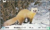 Ermine