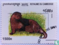 Otter