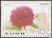 Fleurs acheter