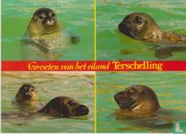 Groeten van het eiland Terschelling