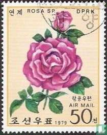 Rozen