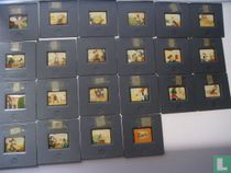  GOOFY dia toverlantaarn plaatjes