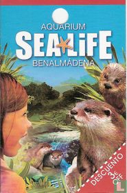 Aquarium  Sea Life