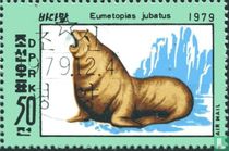 Zeedieren kopen