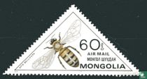 Insects