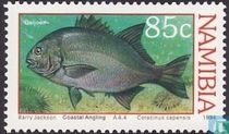 Coastal fishing