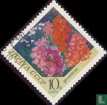 Fleurs de jardins