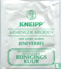 Reinigings Kuur 