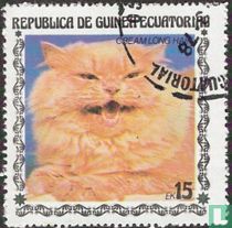 Chat acheter