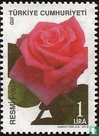 Fleurs