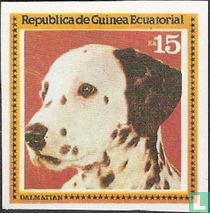 Chien 