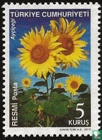 Fleurs