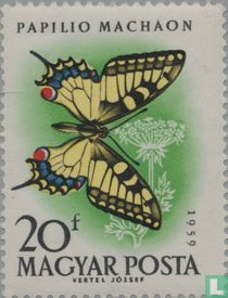 Papillons acheter