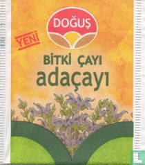 adaçayi
