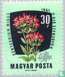 Plantes médicinales ou industrielles acheter