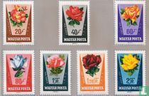 Roses