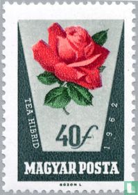 Roses