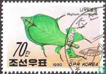 Insectes