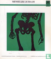 Human Body: Tintin question and answer cards